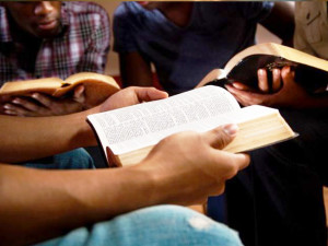 bible study